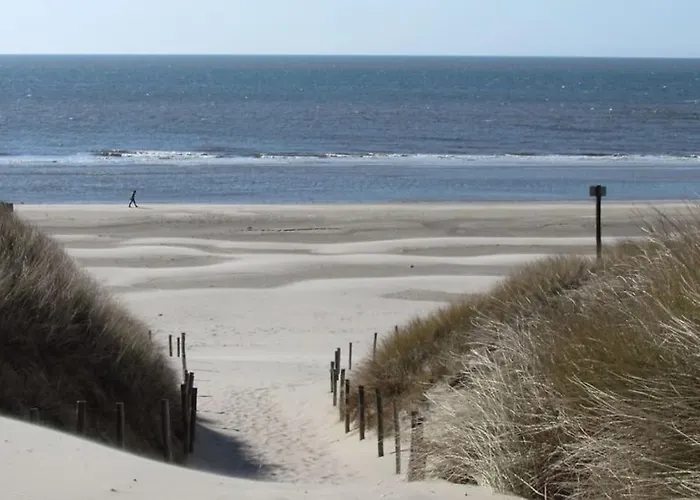 Lägenhet Rustig Gelegen Nabij En Duin