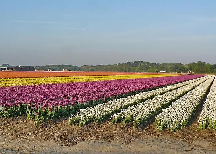 Lägenhet Rustig Gelegen Nabij En Duin