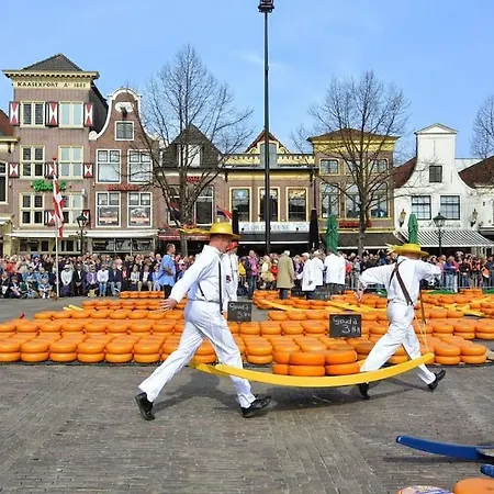 Rustig Gelegen Nabij En Duin
