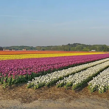 Апартаменты Rustig Gelegen Nabij En Duin